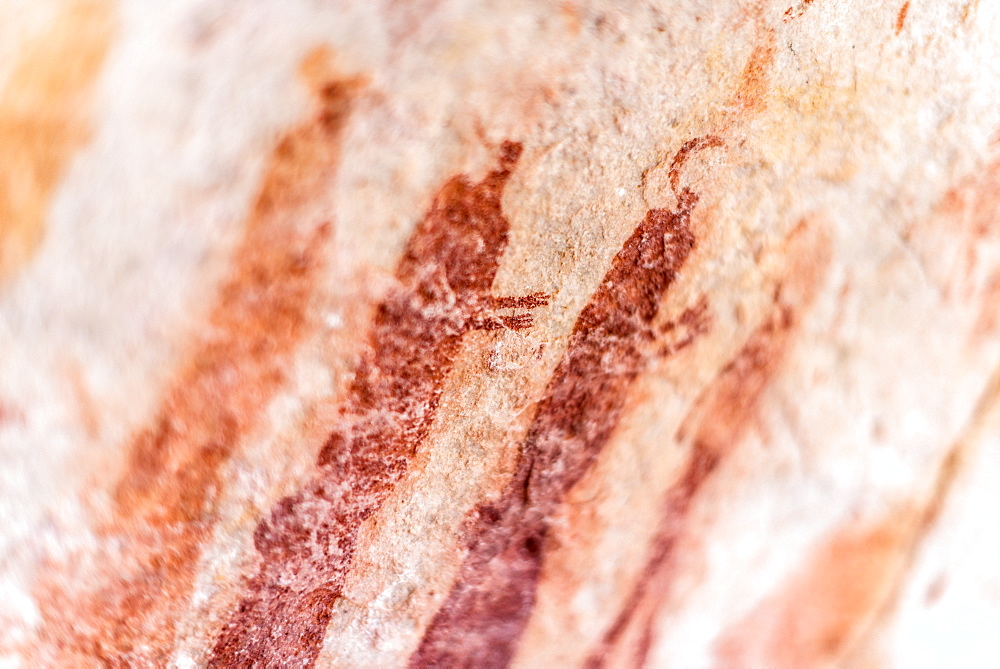 San rock art cave paintings on the wall of a rocky overhang in the Cederberg, Western Cape, South Africa, Africa