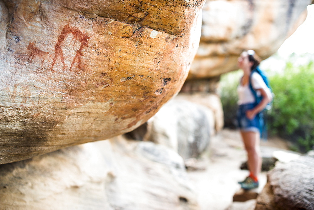 San rock art cave paintings on the wall of a rocky overhang in the Cederberg, Western Cape, South Africa, Africa