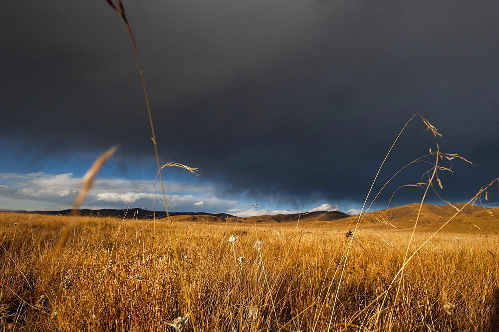 Stormy sky over rangelands on the edge of the Tibetan Plateau in Sichuan Province, China, Asia