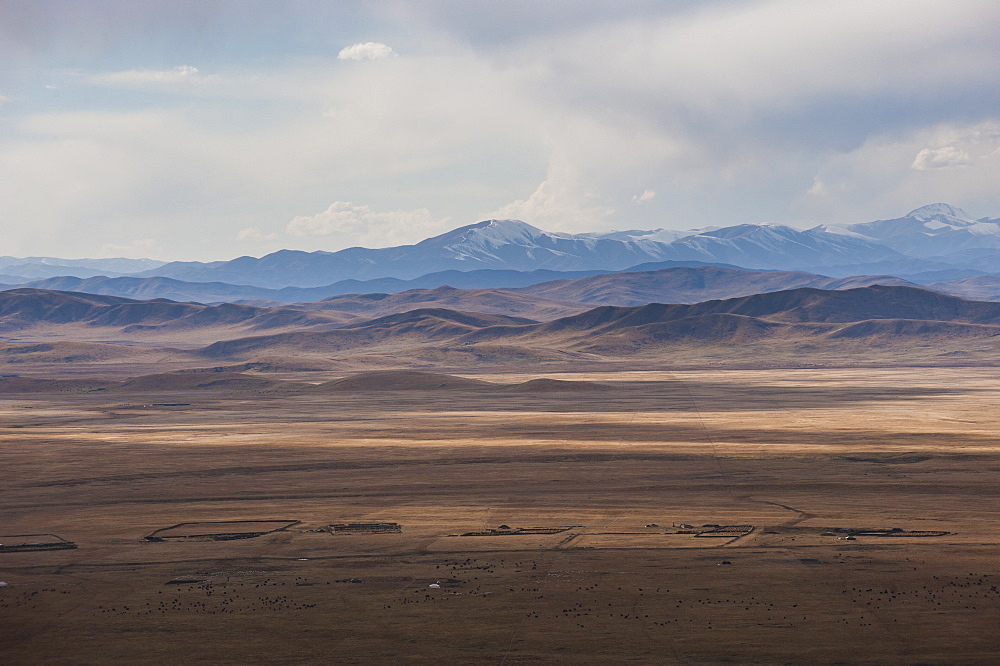 Yaks grazing on the vast open rangelands on the edge of the Tibetan Plateau in Sichuan Province, China, Asia