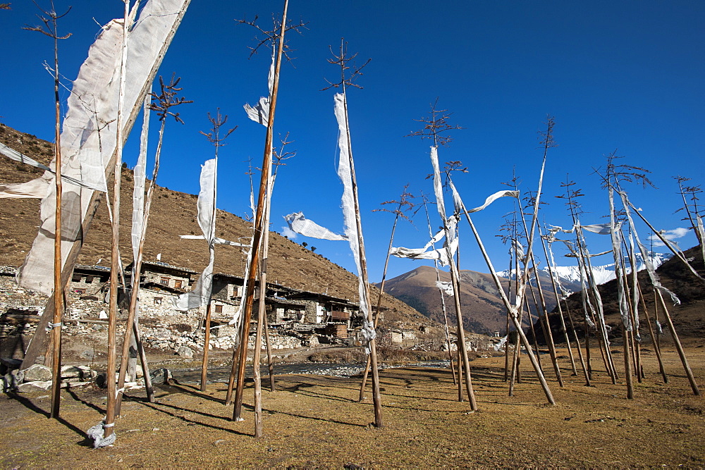 Prayer flags at the small village of Chebisa in northern Bhutan on the Laya-Gasa trekking route, Thimpu district, Bhutan, Asia