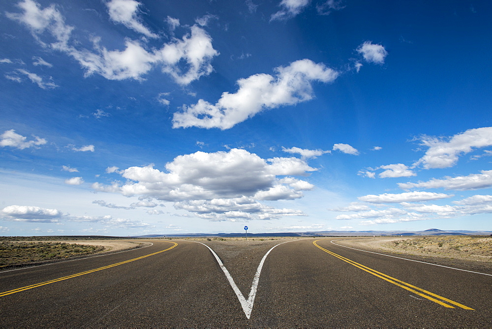 A split in the road along Route 40 in Patagonia, Argentina, South America