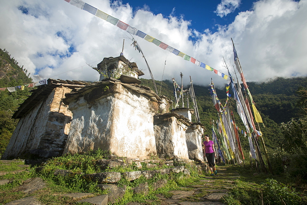 A woman trekking in the Tamang Heritage region close to the Langtang valley walks past some old chortens, Nepal, Himalayas, Asia