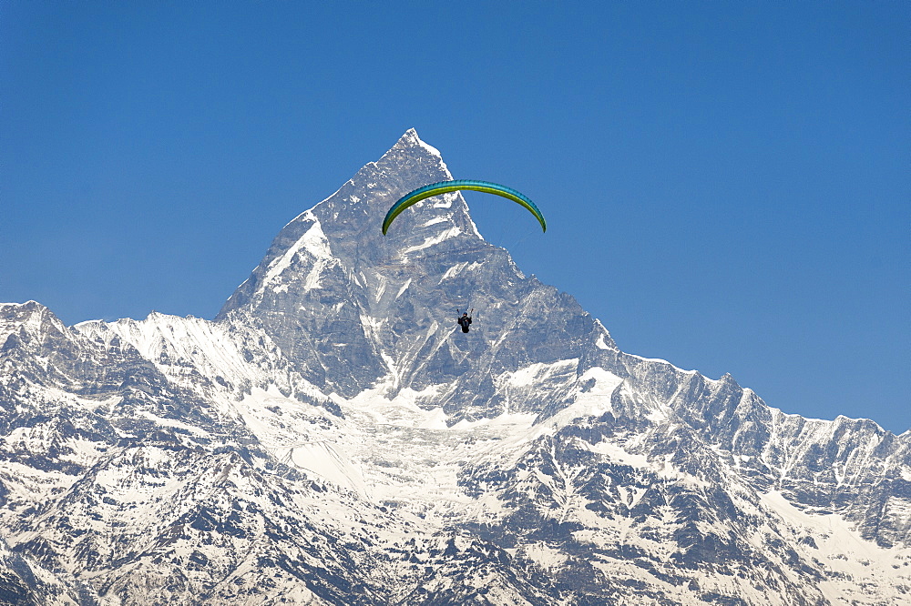 A paraglider hangs in the air with the dramatic peak of Machapuchare (Fishtail mountain) in the distance, Nepal, Himalayas, Asia