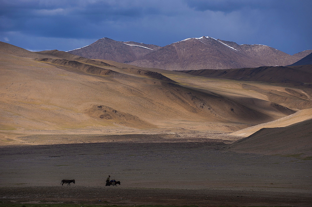 A nomad near Tso Moriri in the remote region of Ladakh, north India, Asia