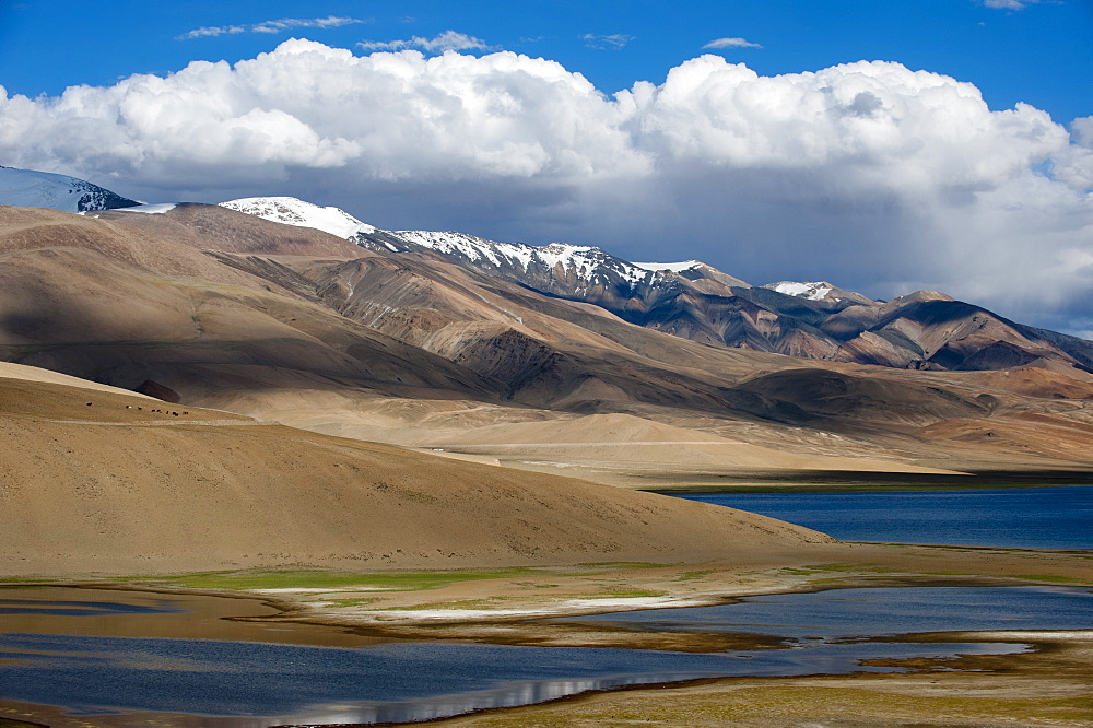 Tso Moriri lake at an altitude of 4595m, Ladakh, Himalayas, north India, Asia