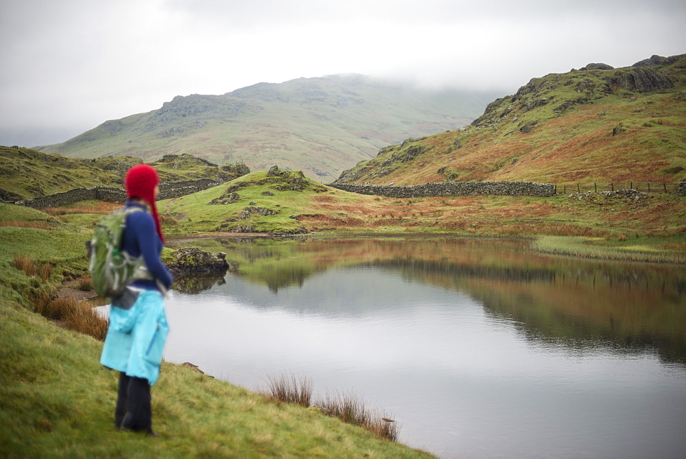 A woman looks out over Alcock Tarn near Grasmere, Lake District National Park, Cumbria, England, United Kingdom, Europe