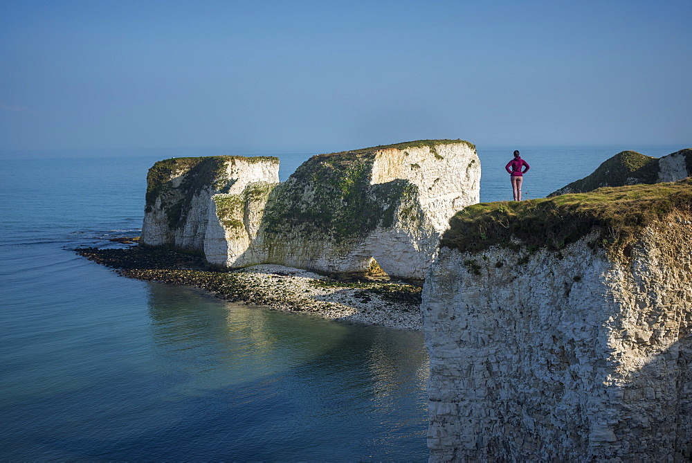 A woman looks out at Old Harry Rocks at Studland Bay, Jurassic Coast, UNESCO World Heritage Site, Dorset, England, United Kingdom, Europe