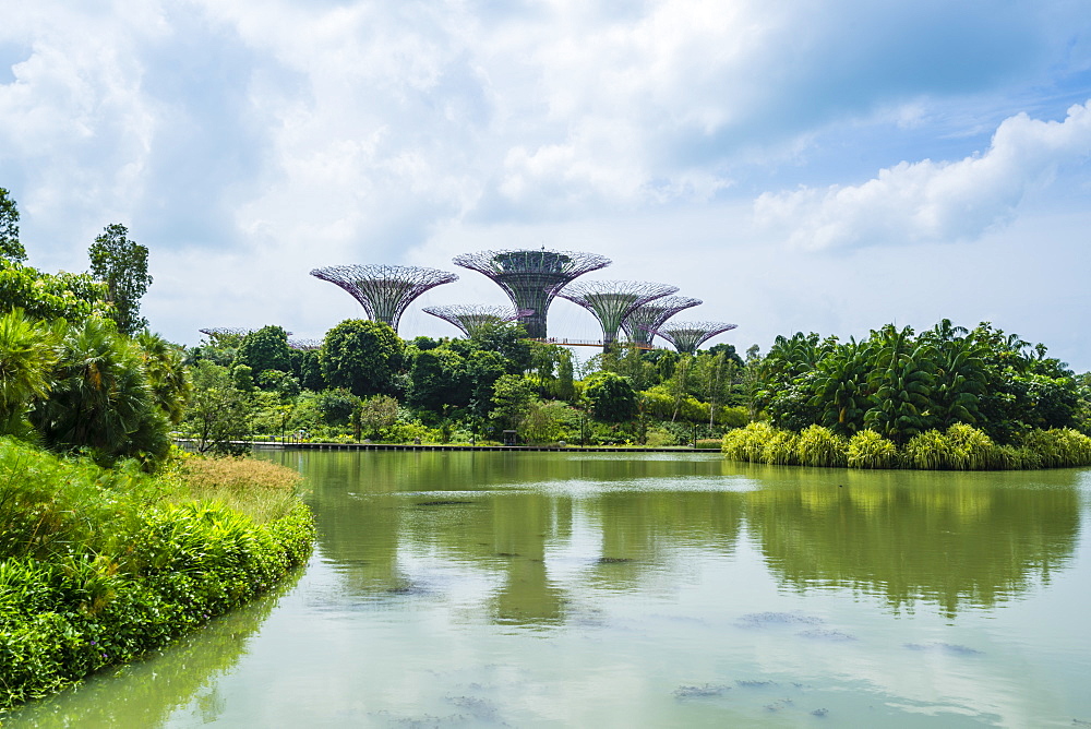 Supertree Grove in the Gardens by the Bay, a futuristic botanical gardens and park, Marina Bay, Singapore, Southeast Asia, Asia