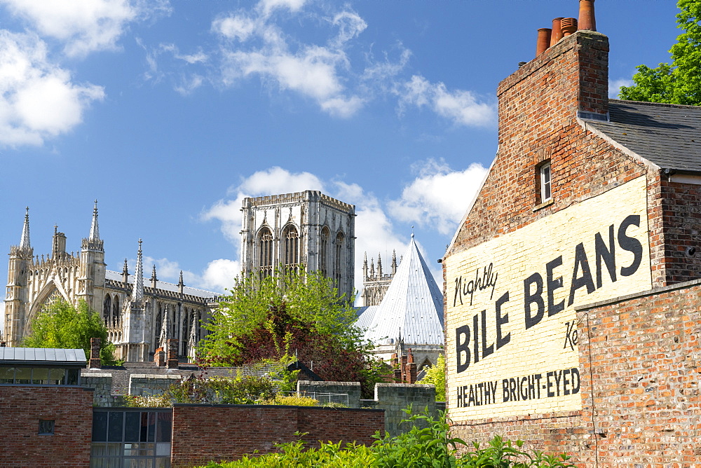 York Minster and the Bile Beans Ghost sign at Lord Mayors Walk, just outside the York city Bar Walls, York, North Yorkshire, Yorkshire, England, United Kingdom, Europe