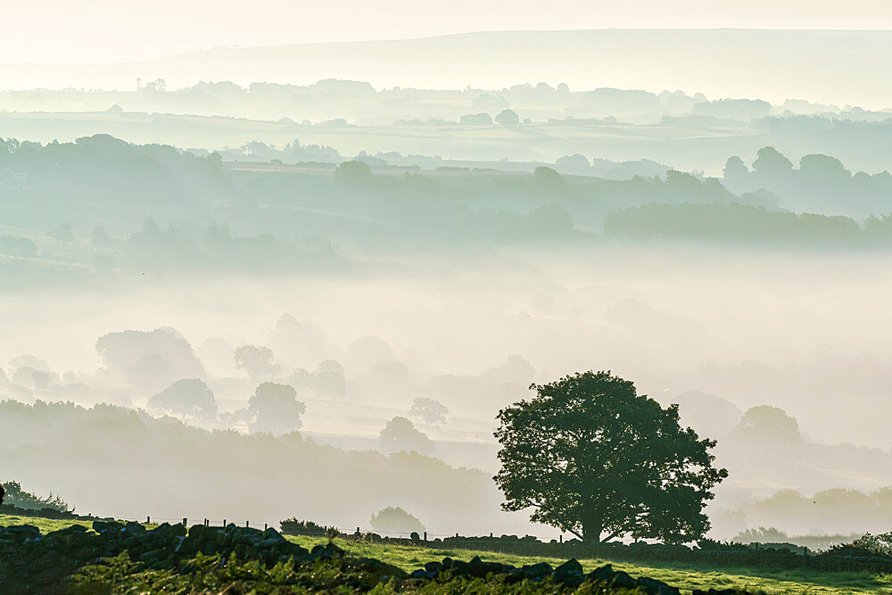 Early morning mist in the Esk Valley around Lealholm in the North Yorkshire Moors National Park, Yorkshire, England, United Kingdom, Europe