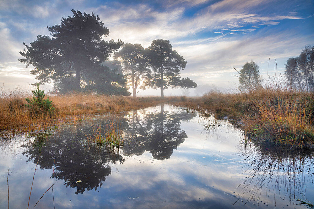 Misty cool Autumn daybreak at Strensall Common Nature Reserve near York, North Yorkshire, England, United Kingdom, Europe