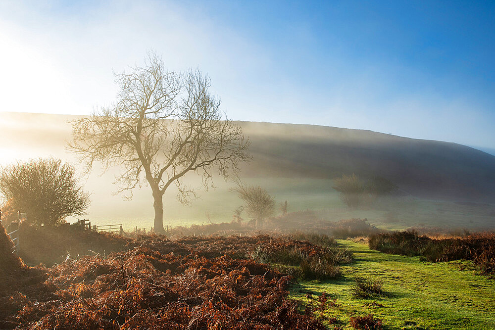 Mid-winter sunlight, and mist around Hutton Le Hole moorland village in Farndale, North Yorkshire, Yorkshire, England, United Kingdom, Europe