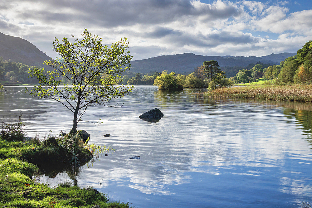 Early autumn, at Rydal Water in the Lake District National Park, UNESCO World Heritage Site, Cumbria, England, United Kingdom, Europe