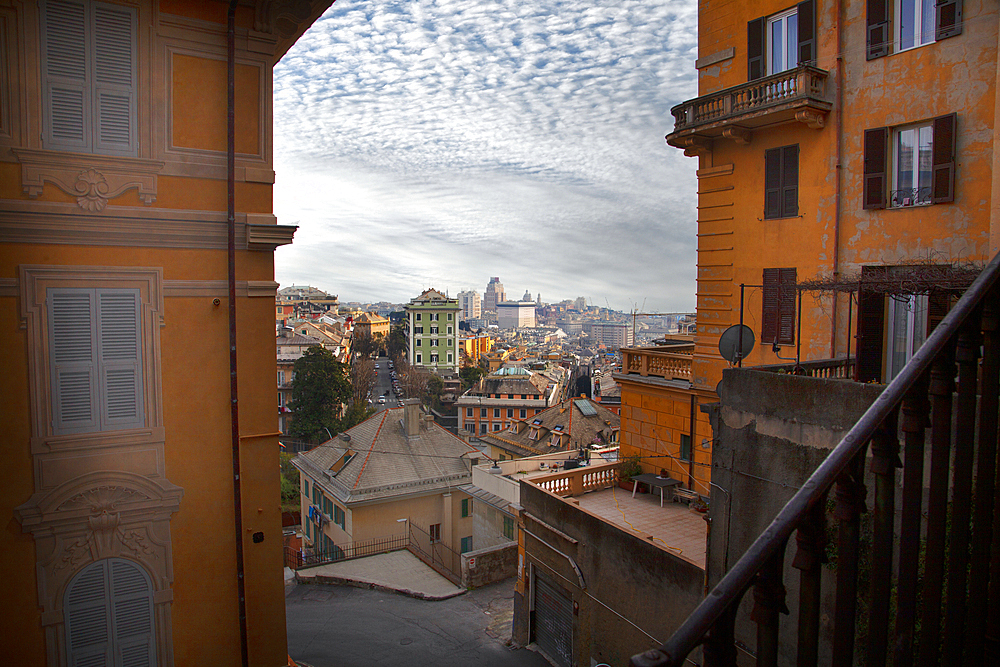 A view of the city, Genoa, Liguria, Italy, Europe