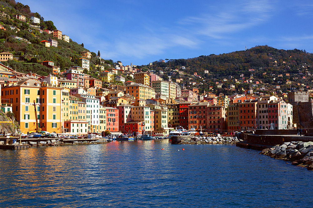 Camogli, a fishing village and tourist resort located on the west side of the peninsula of Portofino, Camogli, Liguria, Italy, Europe