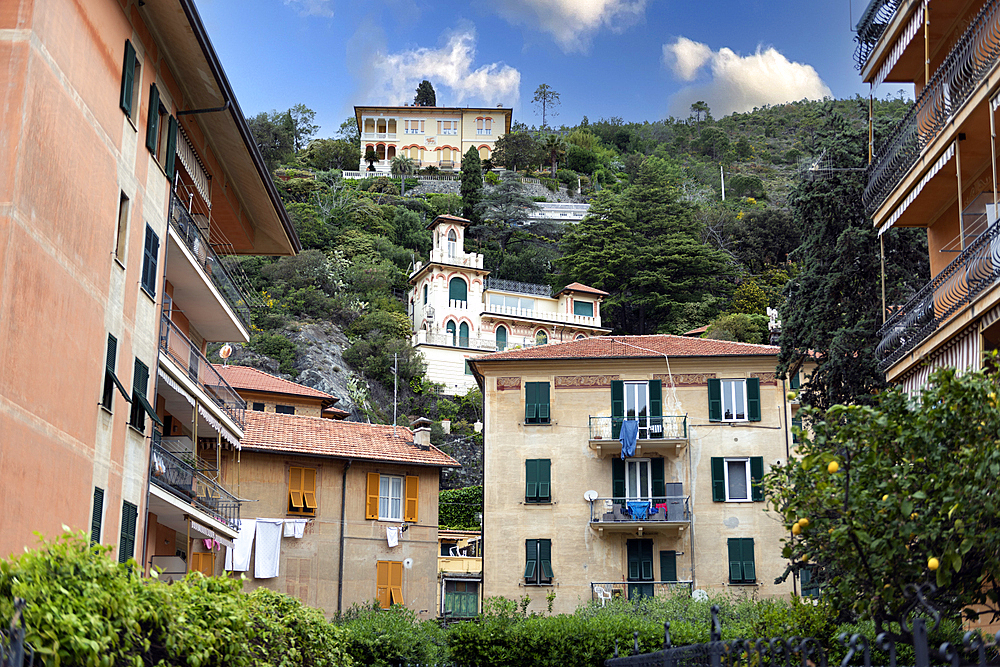 Apartments and houses in the centre of Levanto in the province of Liguria, Italy, Europe