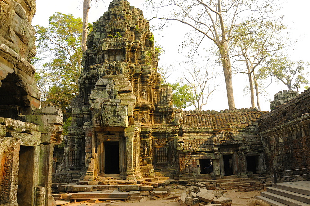 Ta Prohm Temple, Angkor, UNESCO World Heritage Site, Siem Reap, Cambodia, Indochina, Southeast Asia, Asia