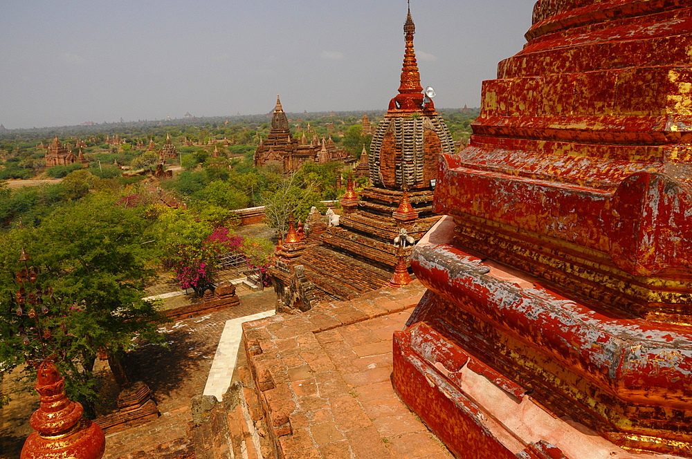 Elevated view of Bagan temples, Bagan (Pagan), UNESCO World Heritage Site, Myanmar, Asia