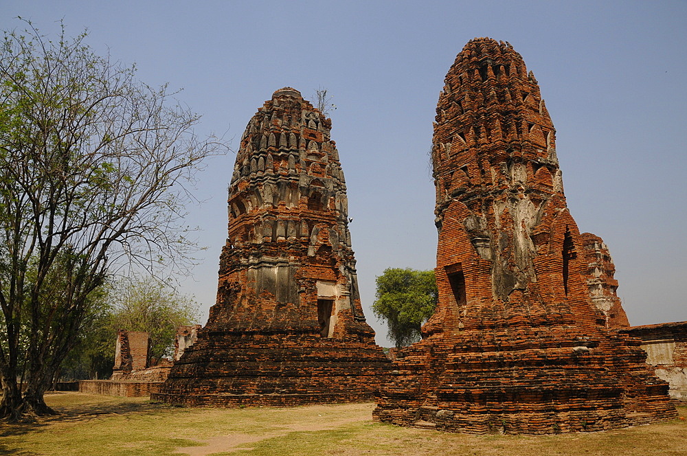 Wat Maha That, Buddhist temple in Ayutthaya, UNESCO World Heritage Site, Thailand, Southeast Asia, Asia