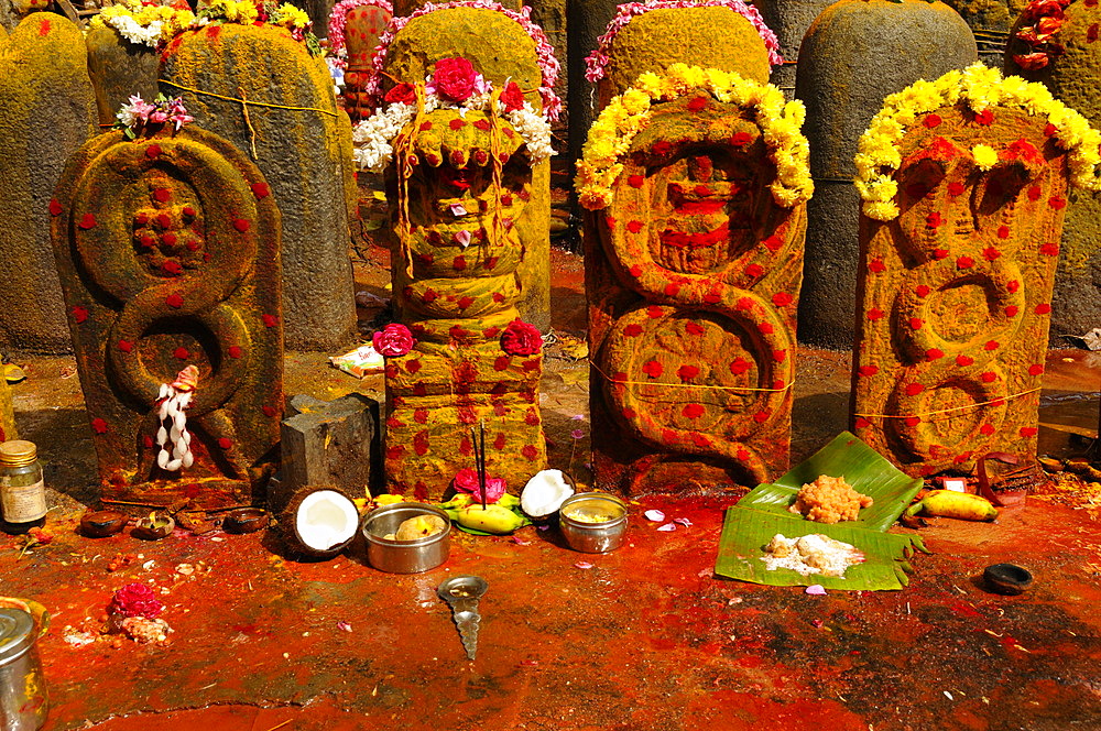 Vishnu shrines with offering placed, Tiruchirappali, Tamil Nadu, India, Asia