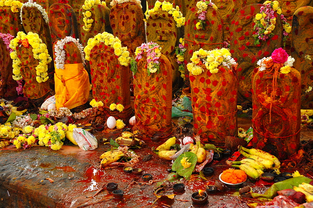 Vishnu shrines with offering placed, Tiruchirappali, Tamil Nadu, India, Asia