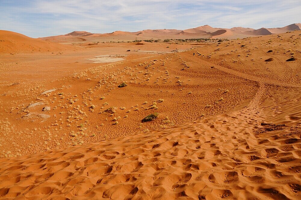 Dead Vlei, Sossusvlei, Namib Desert, Namibia, Africa