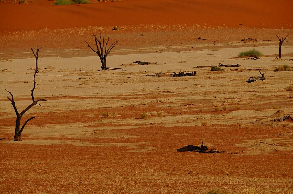 Dead Vlei, Sossusvlei, Namib Desert, Namibia, Africa