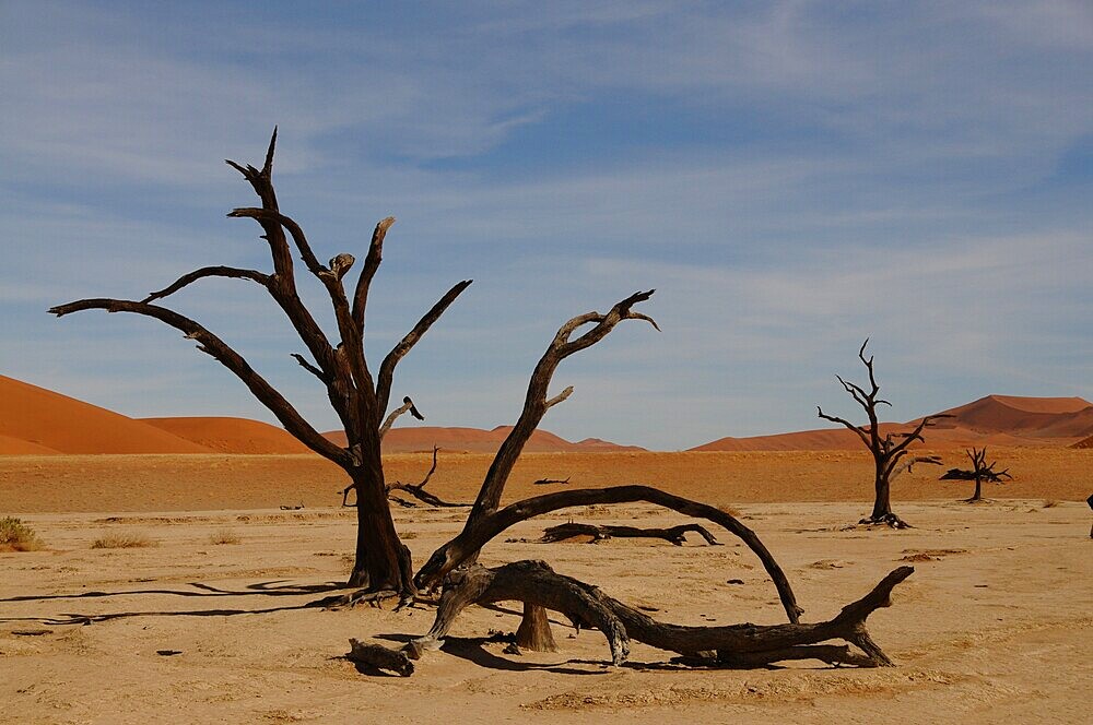 Dead Vlei, Sossusvlei, Namib Desert, Namibia, Africa