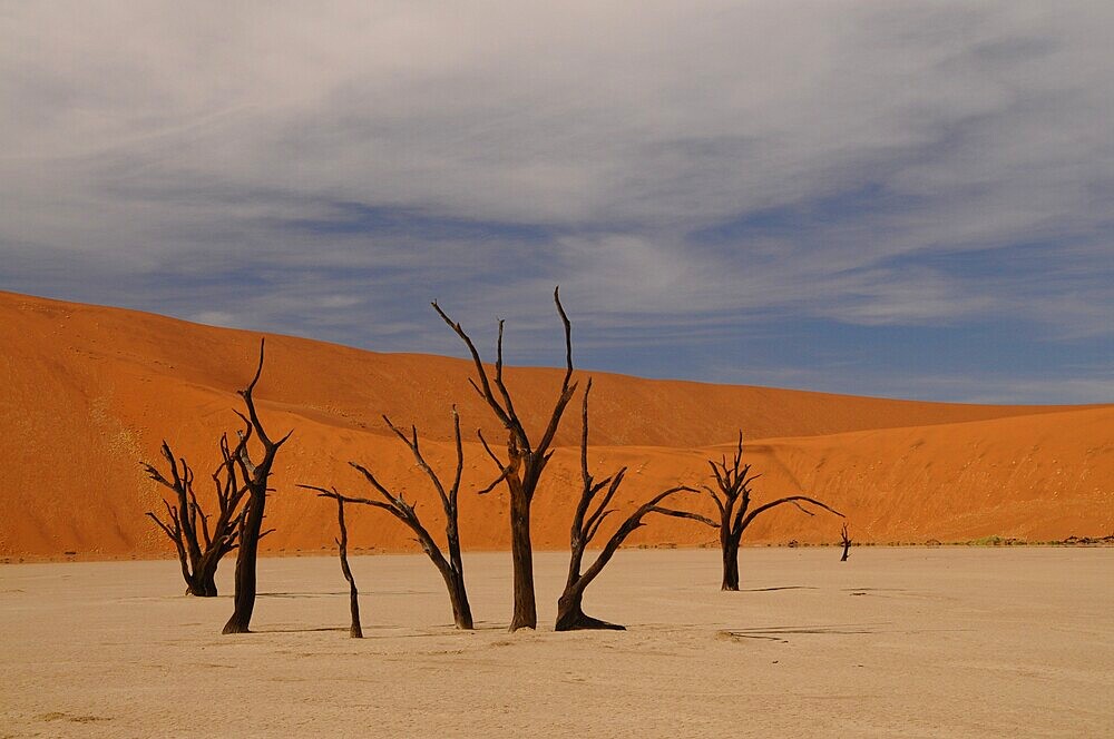 Dead Vlei, Sossusvlei, Namib Desert, Namibia, Africa