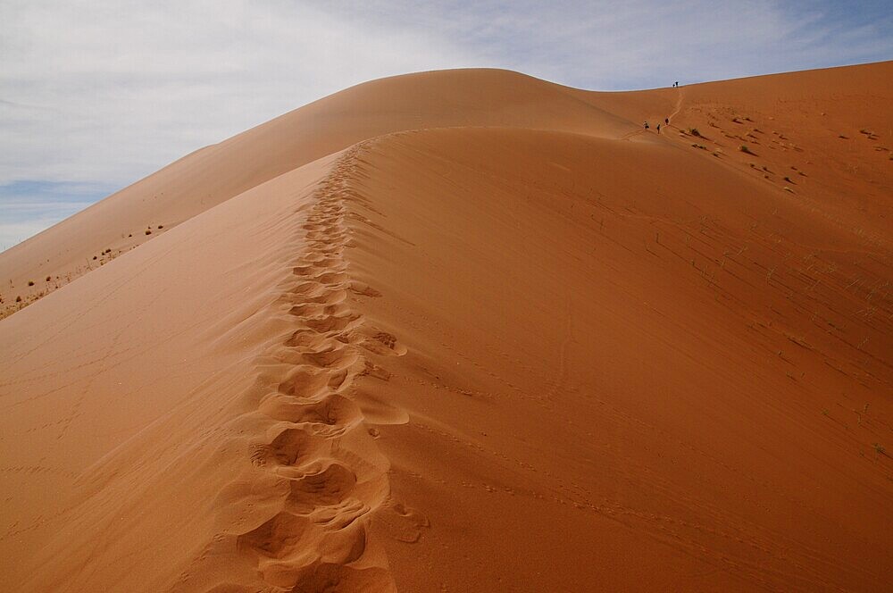 Dead Vlei, Sossusvlei, Namib Desert, Namibia, Africa