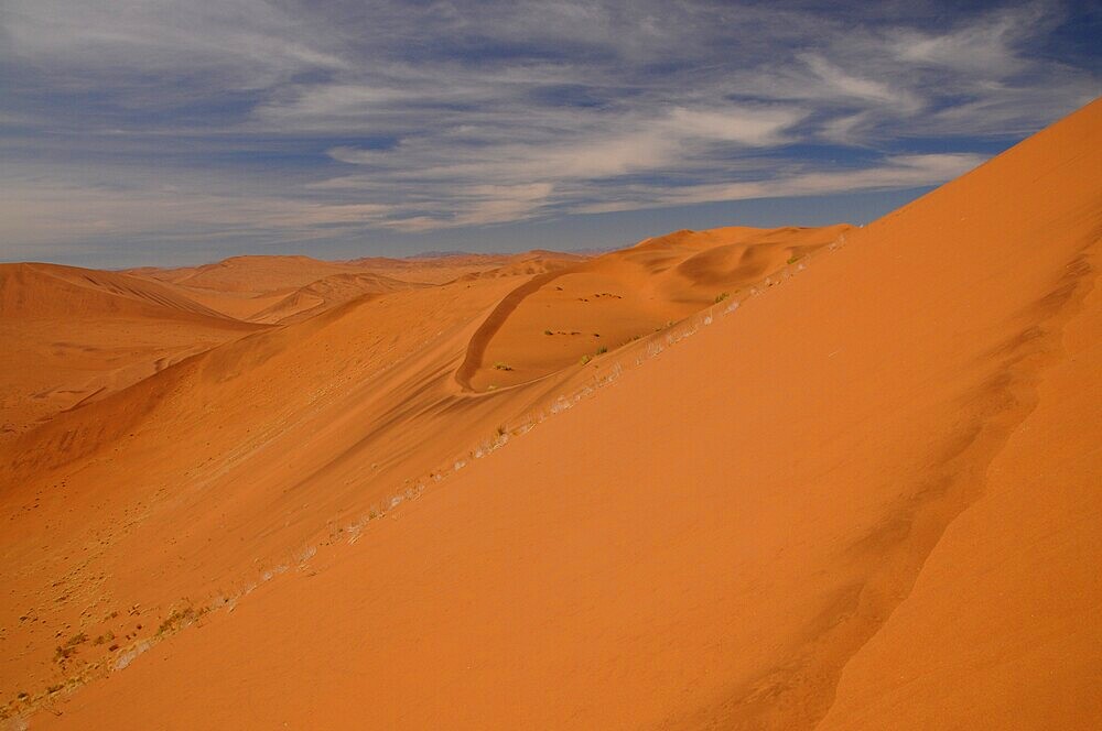 Dead Vlei, Sossusvlei, Namib Desert, Namibia, Africa