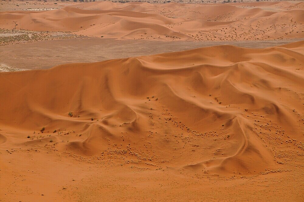 Dead Vlei, Sossusvlei, Namib Desert, Namibia, Africa