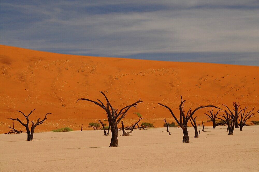 Dead Vlei, Sossusvlei, Namib Desert, Namibia, Africa