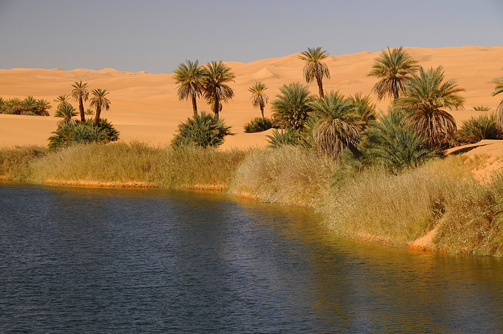 Picturesque orange Dunes of Ubari Oasis, Sahara Desert, Libya, North Africa, Africa