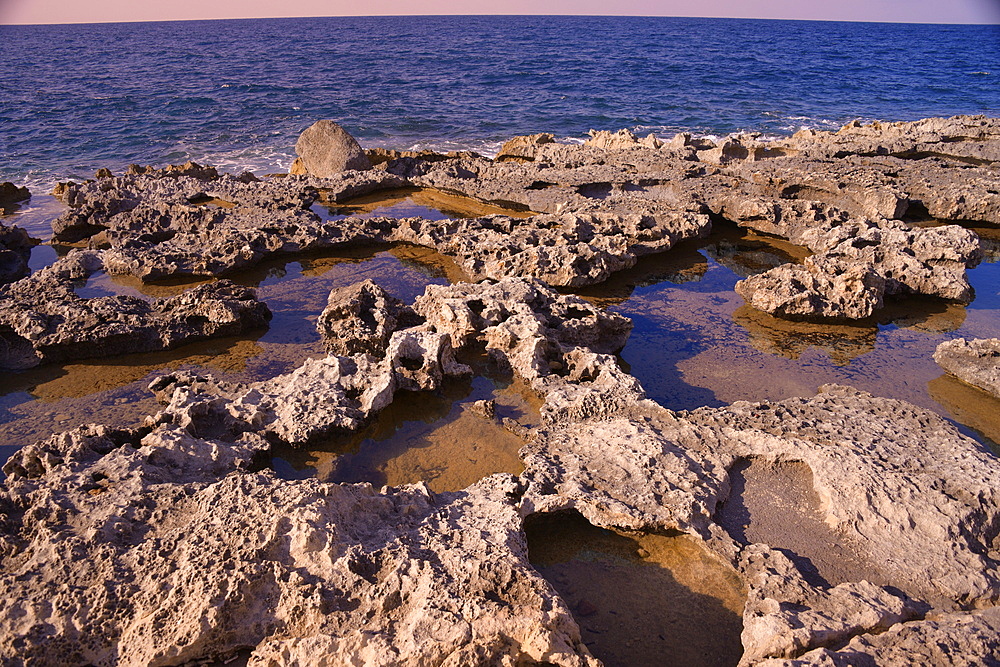 Rocky coast in Bugibba, Malta, Mediterranean, Europe