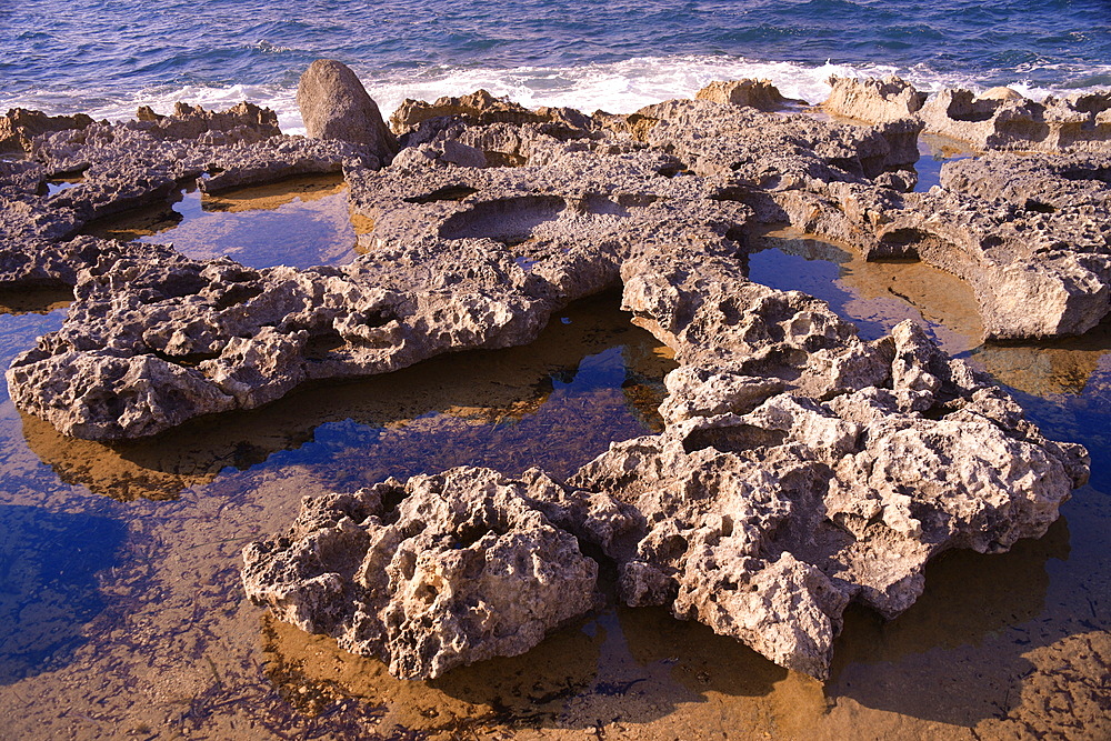 Rocky coast in Bugibba, Malta, Mediterranean, Europe