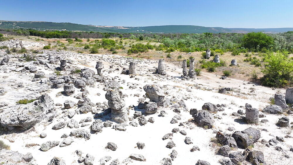 Aerial view of Pobiti Kamani (Stone Forest), 50 mln year old rock formation, Bulgaria