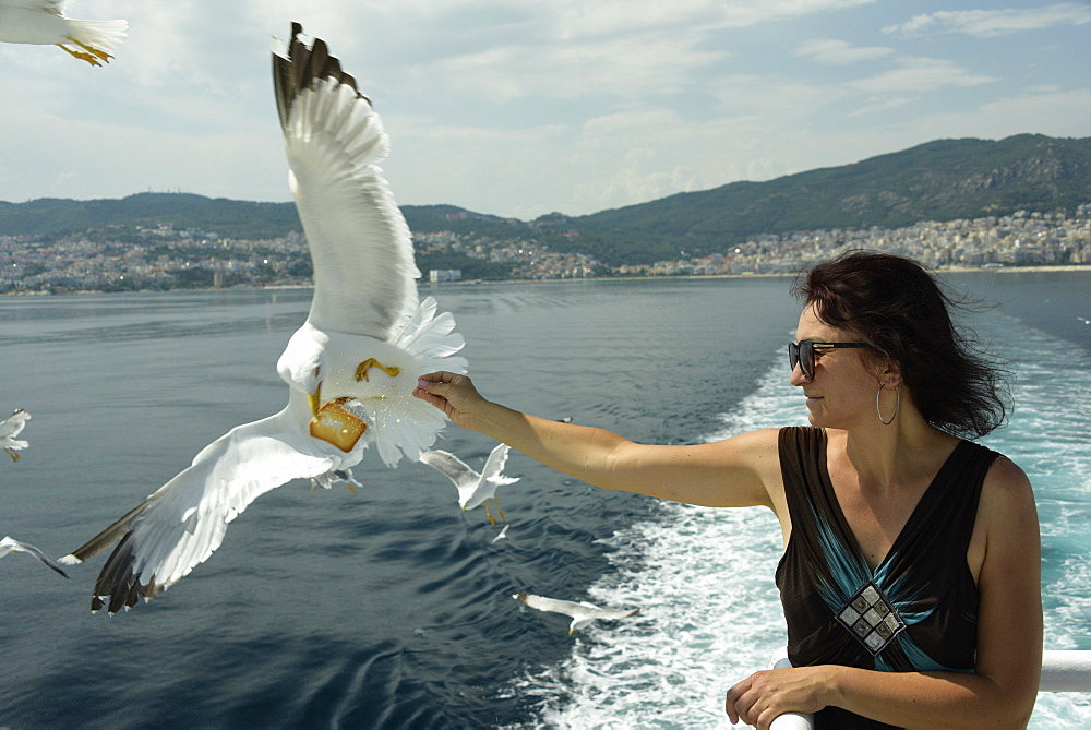 Woman feeding seagulls on a ferry from Kavala to Thassos, North Aegean Sea, Greek Islands, Greece, Europe