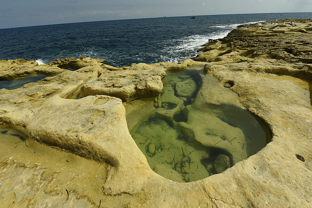 Rocky coast near Peter's Pool, Marsaxlokk, Malta, Mediterranean, Europe