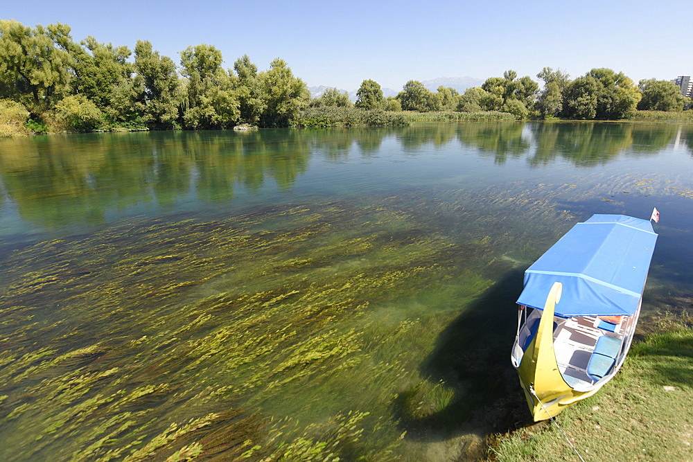 Tourist boat moored on Lake Skadar, Shkoder, Albania, Europe