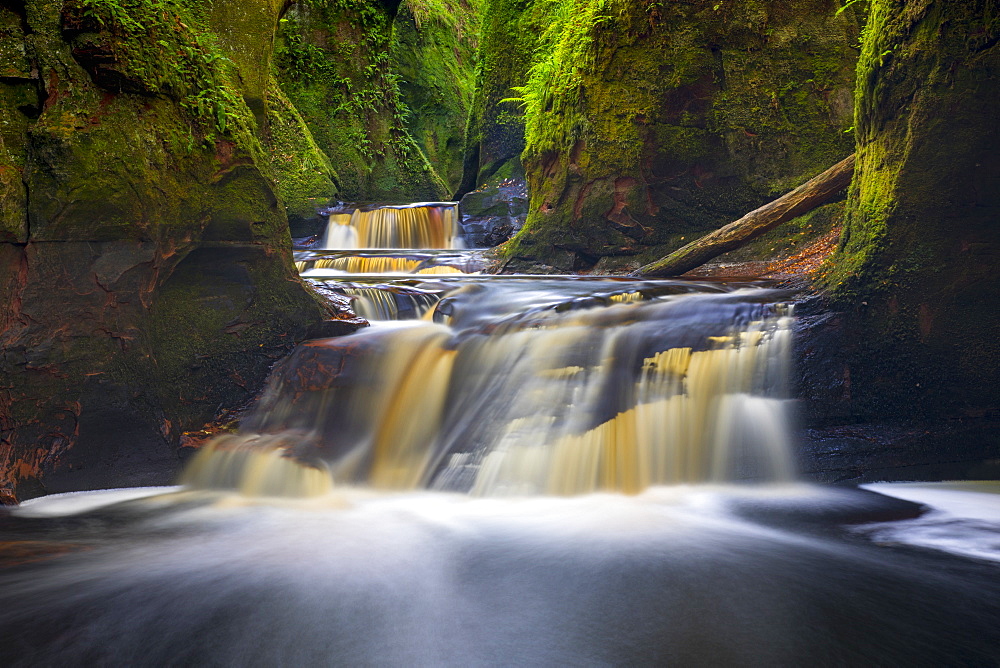 Gorge at The Devil's Pulpit, Finnich Glen, Stirlingshire, Scotland, United Kingdom, Europe