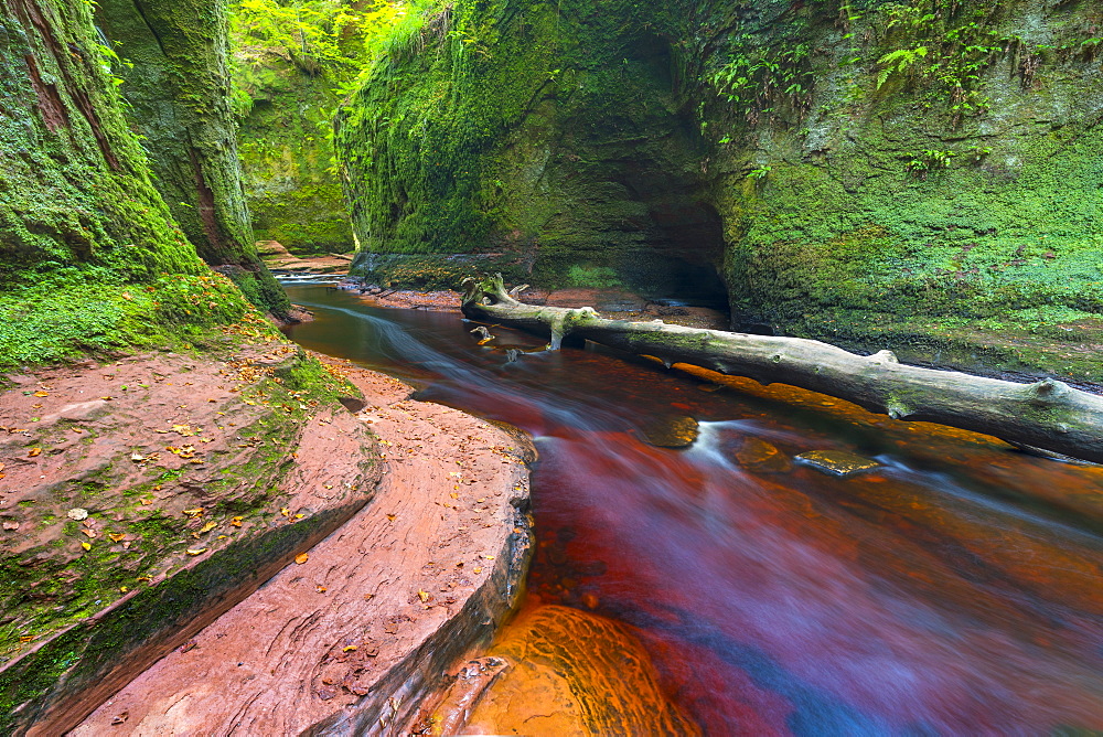 Gorge at The Devil's Pulpit, Finnich Glen, Stirlingshire, Scotland, United Kingdom, Europe