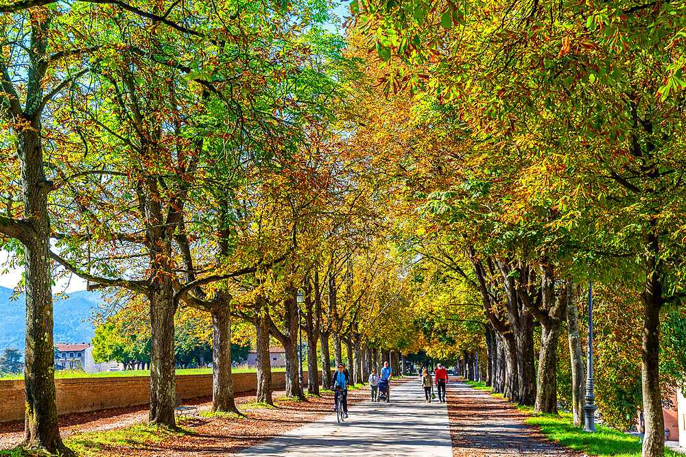 Path along the city walls (Le Mura), Lucca, Tuscany, Italy, Europe