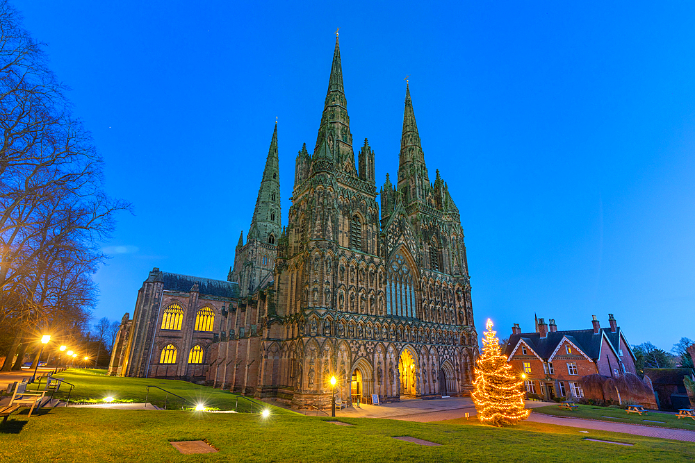 Lichfield Cathedral, Christmas tree, Lichfield, Staffordshire, England, United Kingdom, Europe