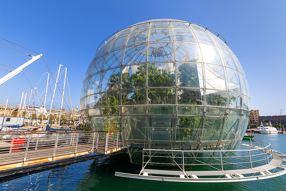 La Biosfera, tropical wildlife in a waterfront sphere, Genoa, Liguria, Italy, Europe