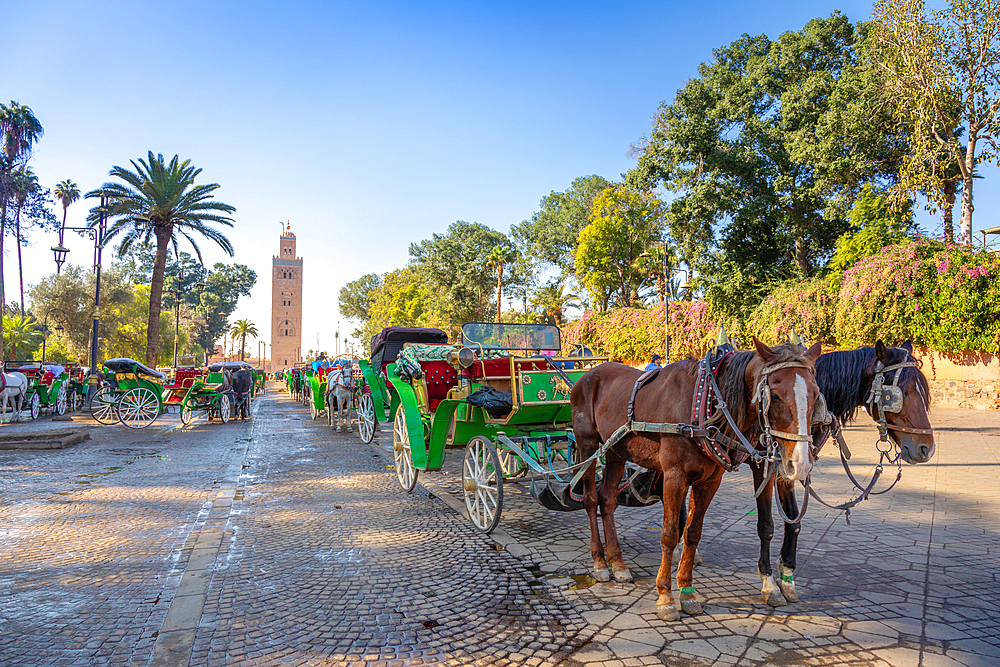 Horse and carriage, Koutoubia Mosque (Kutubiyya Mosque) Minaret, UNESCO World Heritage Site, Marrakesh, (Marrakech), Morocco, Africa