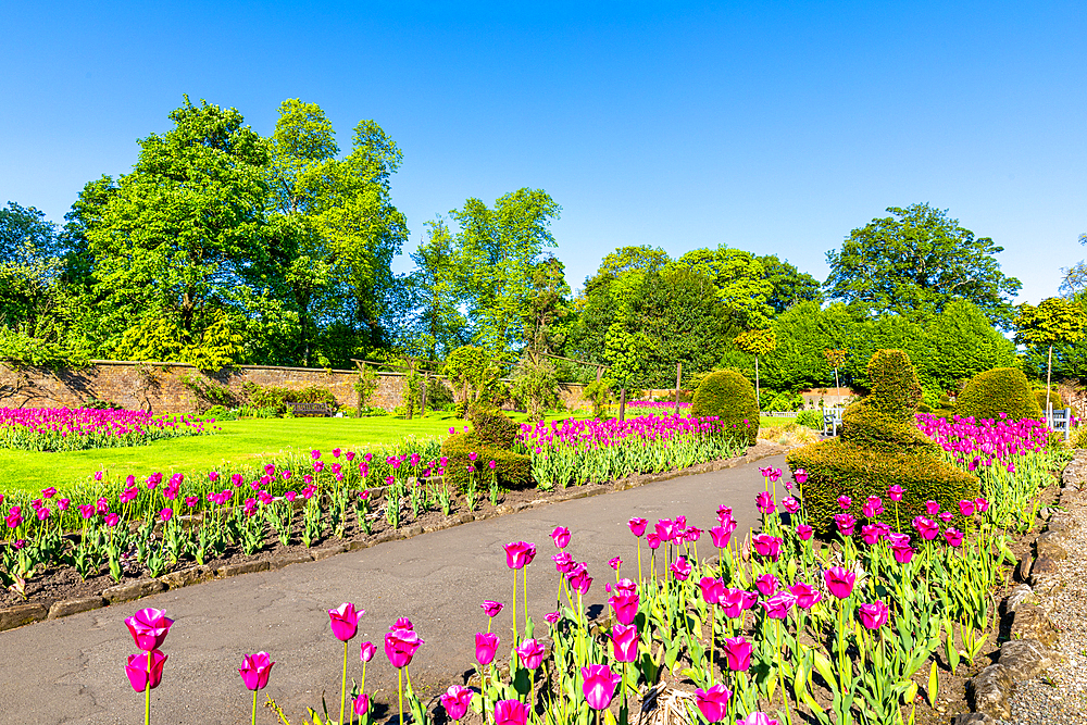 The Walled Garden, Bellahouston Park, Glasgow, Scotland, United Kingdom, Europe