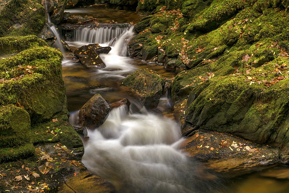 Owengarriff River, County Kerry, Munster, Republic of Ireland, Europe