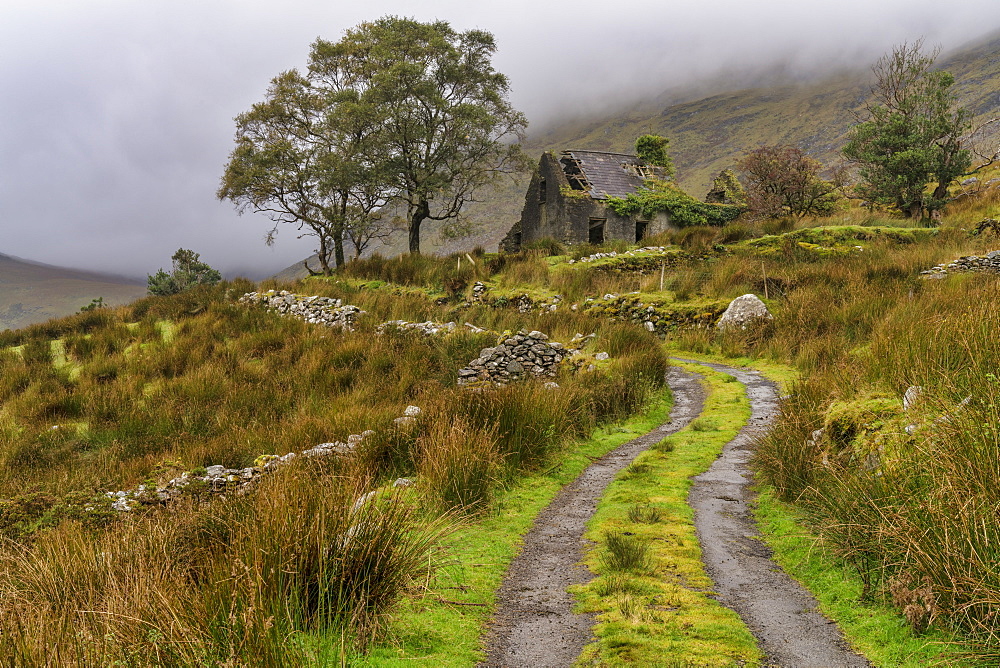 Drumluska, Black Valley, County Kerry, Munster, Republic of Ireland, Europe